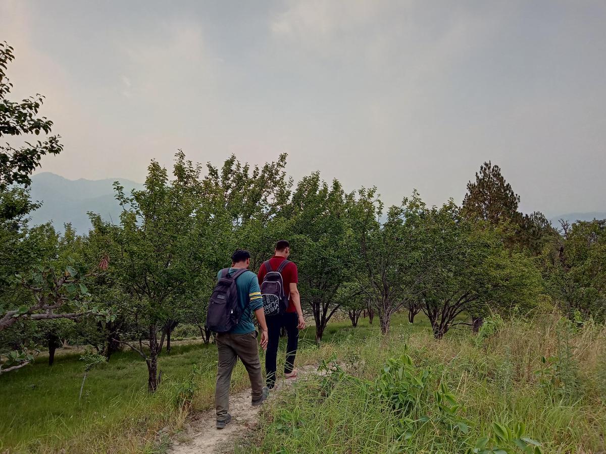 Vista Hostel Jeolikote, Nainital Patwa Dunga Zewnętrze zdjęcie
